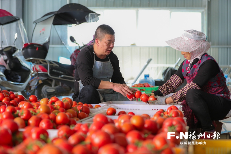 福州“菜籃子”工程實(shí)施30年回眸：小小“菜籃子”拎起大民生